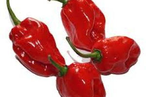 Habanero Red