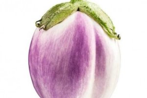 Melanzani Rotonda Bianca Sfumata di Rosa