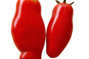 San Marzano 2